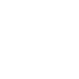 Geographic Information Ledger
