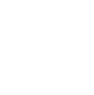 Agile Execution