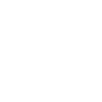 Customized Development