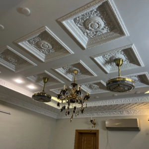 Elegant Ceiling Design