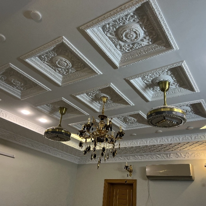 Elegant Ceiling Design