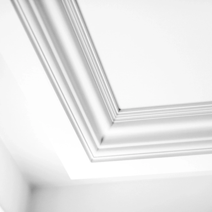 Molding Ceiling Detail